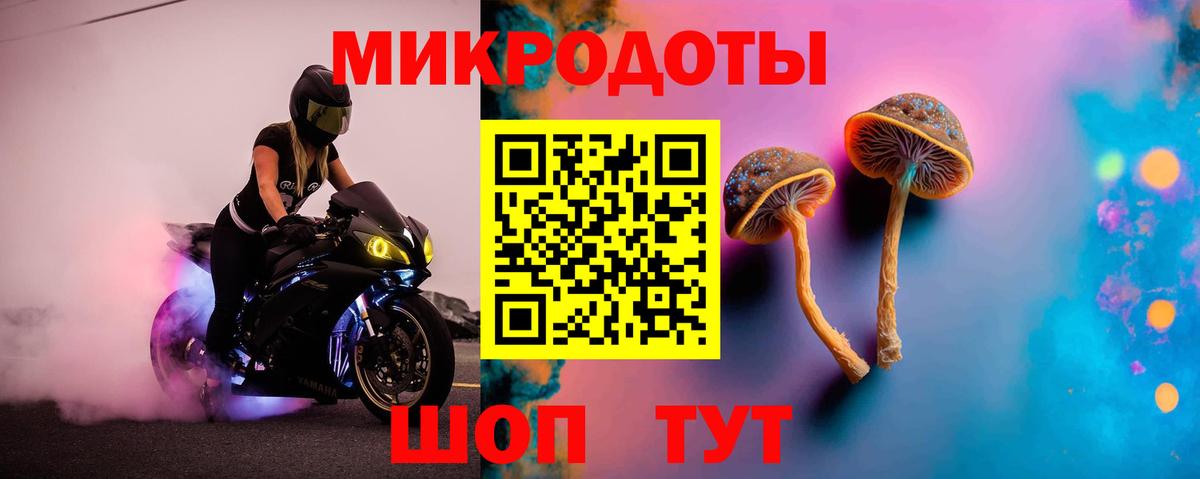Галлюциногенные грибы Psilocybine cubensis  что такое наркотик  Ростов Великий  Вход с VPN 
